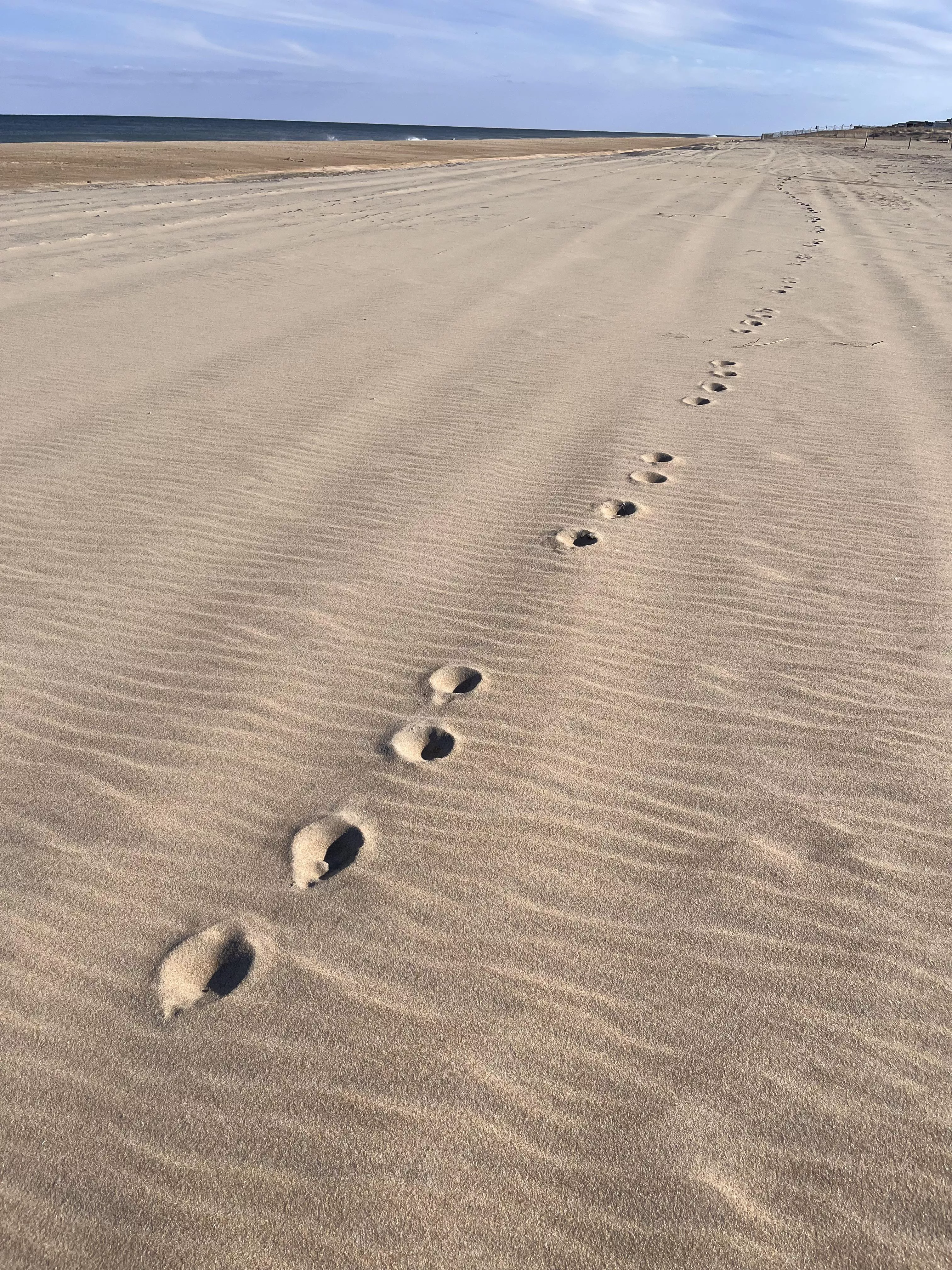 Can anyone help ID these tracks?