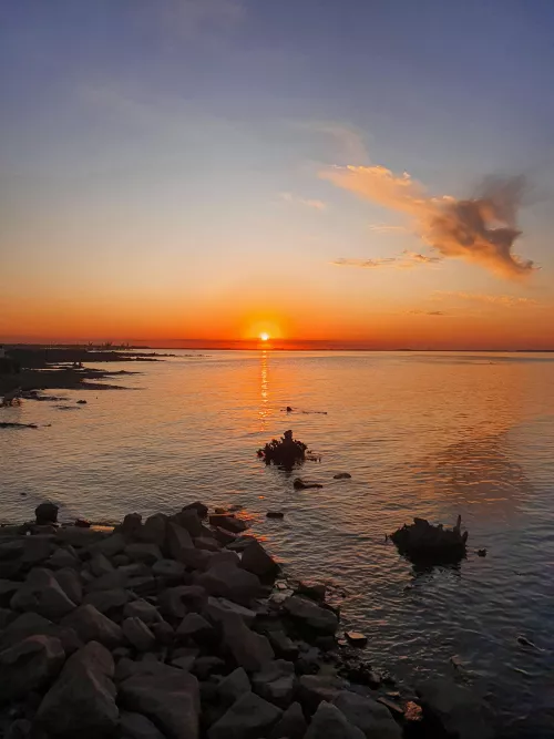 How happy it makes you to see this photo? 💘