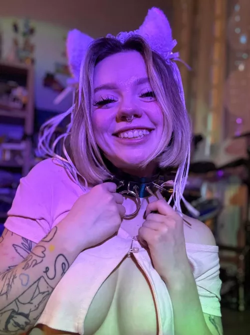 you'd pet that cute cat, wouldn't you