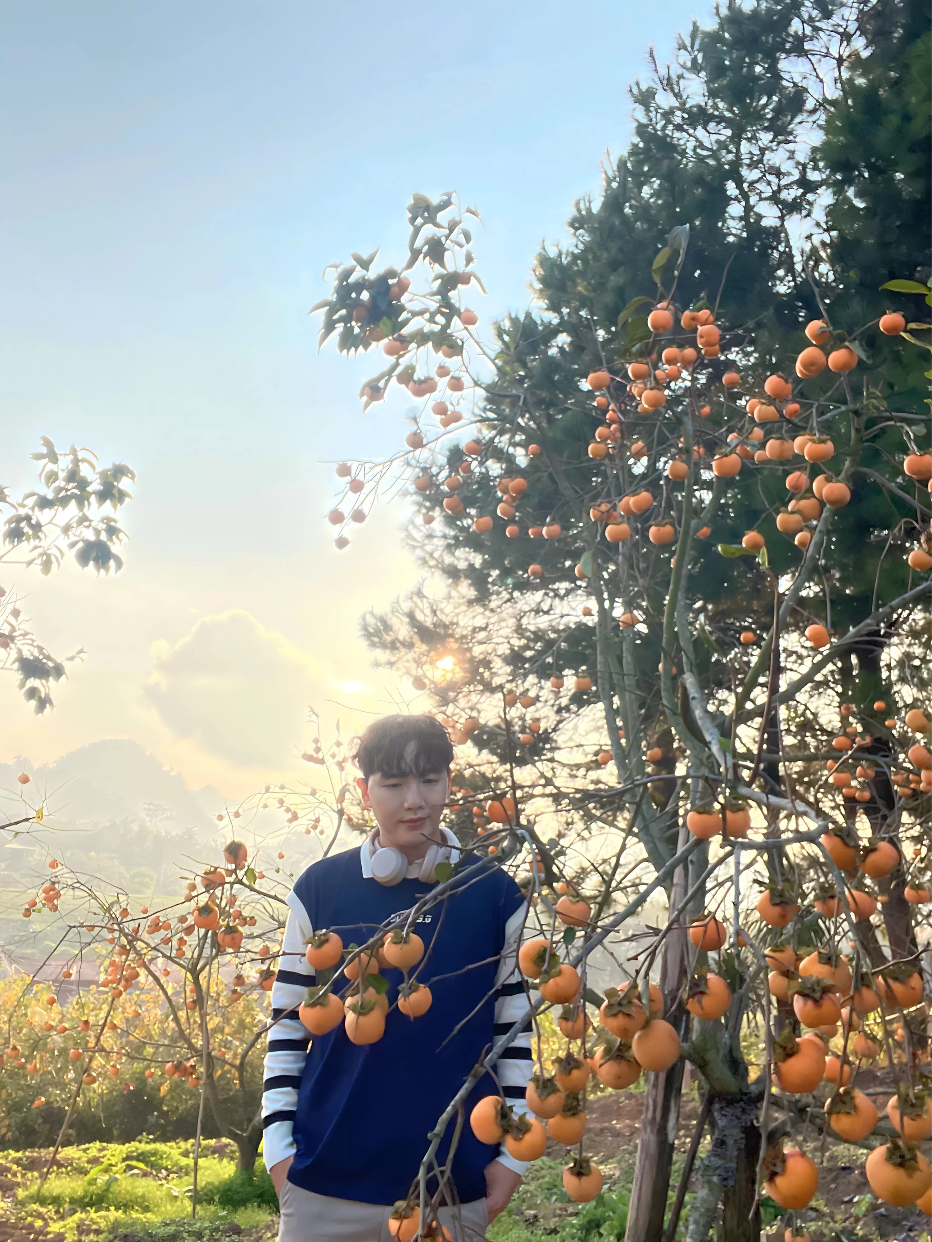 Are you a nature lover? 