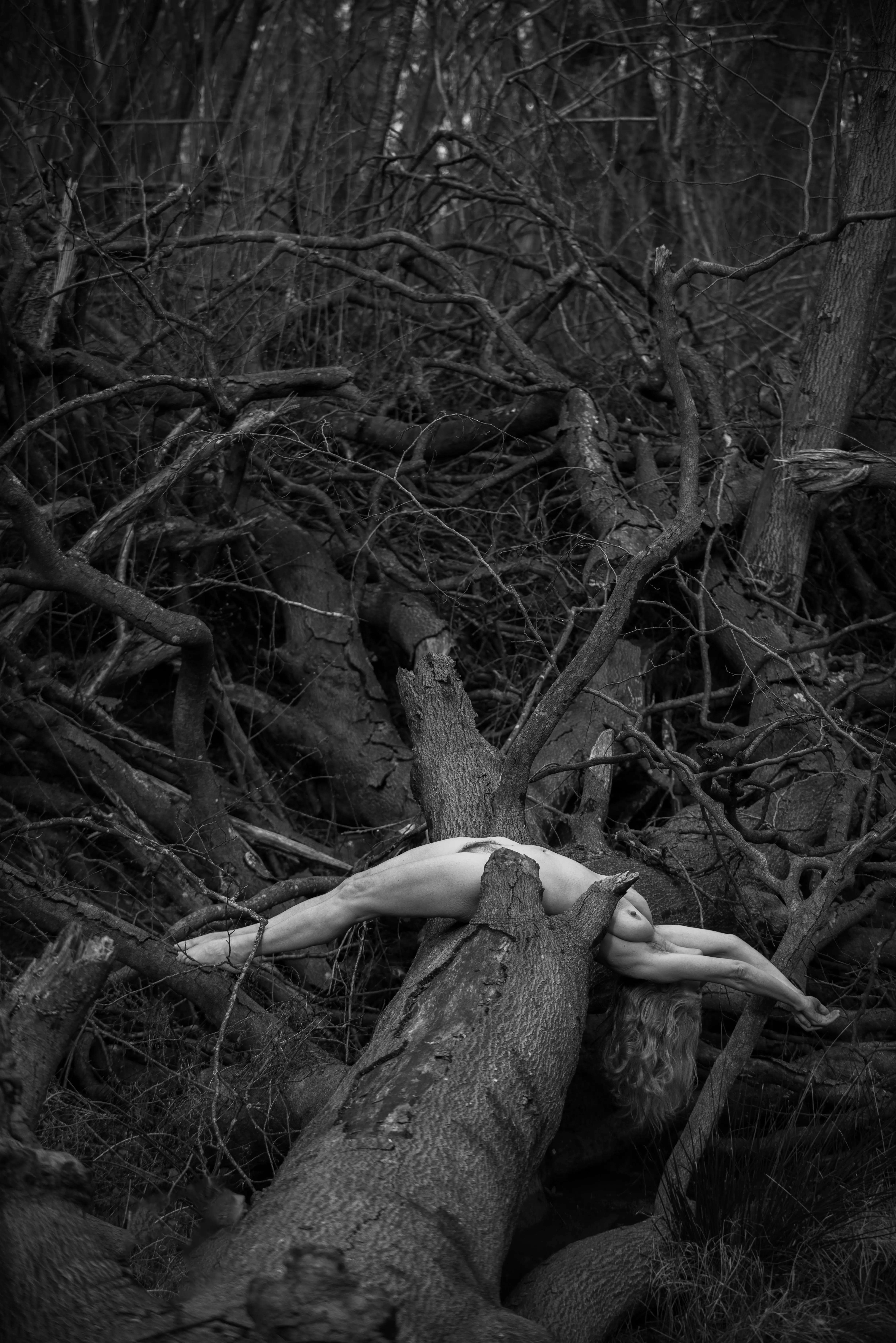 Deadfall photo shoot 