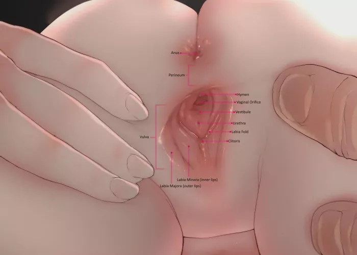 Sex Ed is easier this way