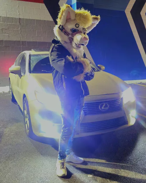 What do my fellow floofers drive? 🚗💨