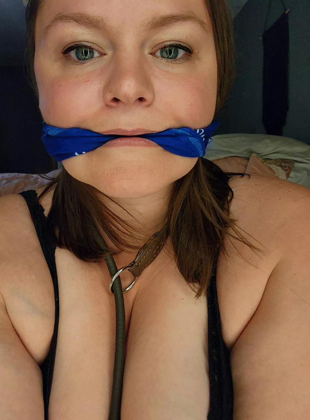 When he prefers his pet to stay quiet