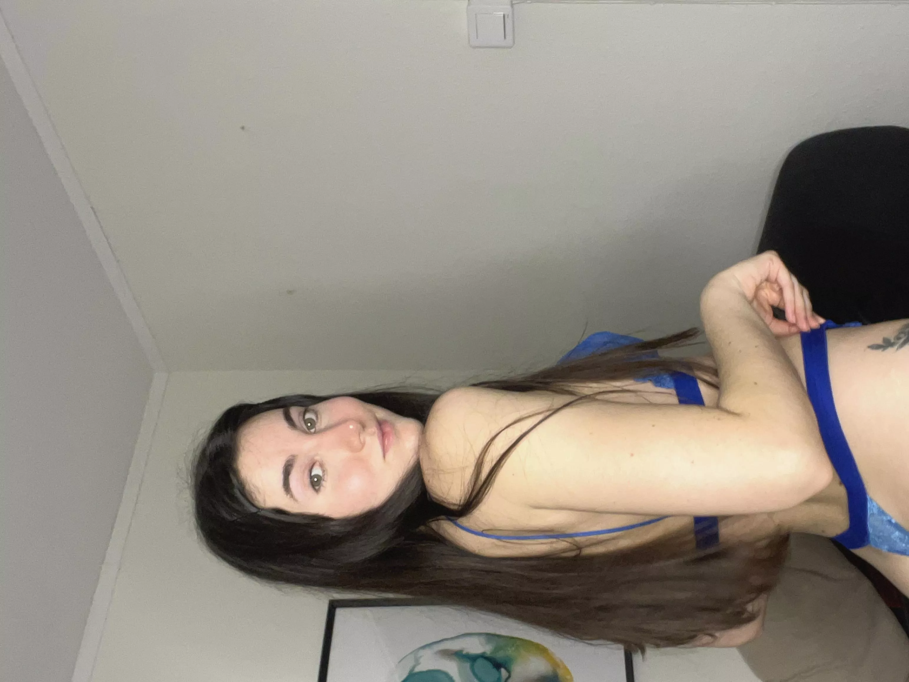  Can I be a breeder for you? 