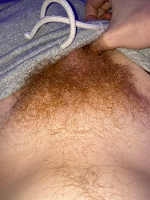 Ginger pubes, how they lookin?