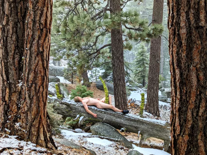 My first ever🌲 Tree Pose Tuesday 🌲