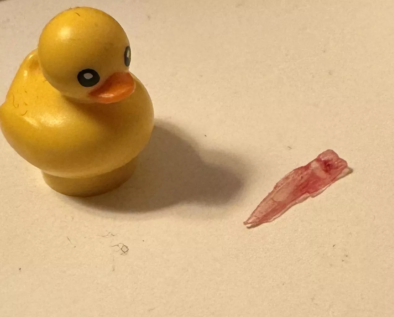 This gnarly hangnail I managed to pull out (Lego duck for reference)