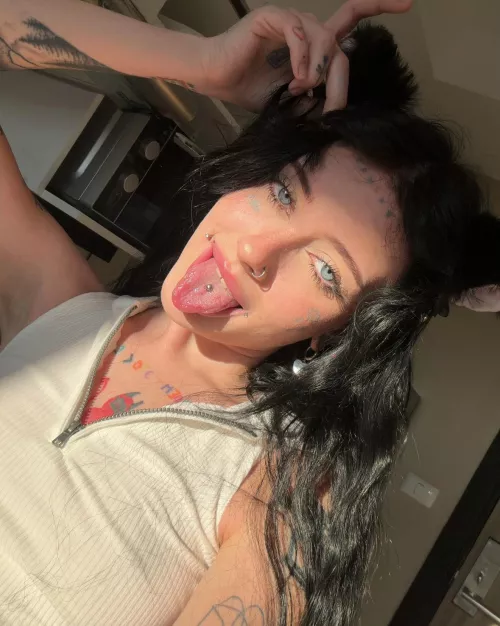 you'd like to play with that cute cat, wouldn't you?