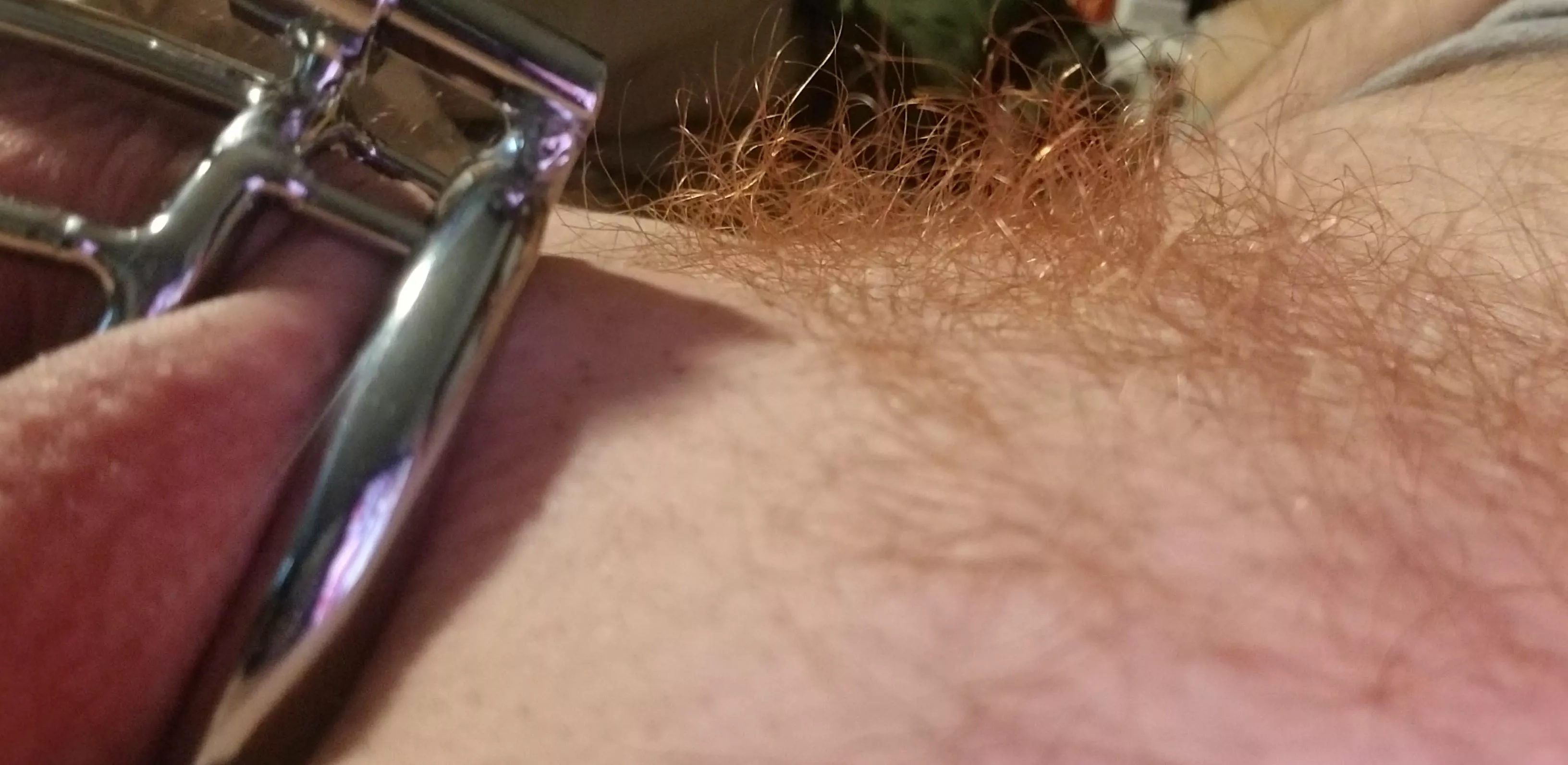 1st day with the new color. I think I like it.