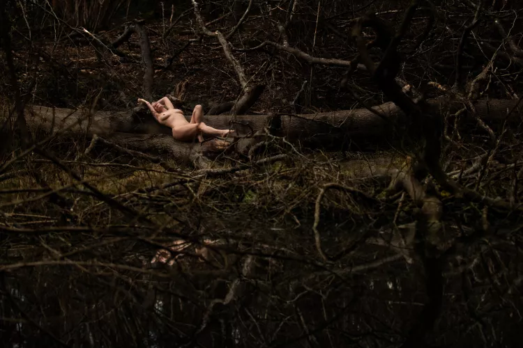 Beauty amongst the decay