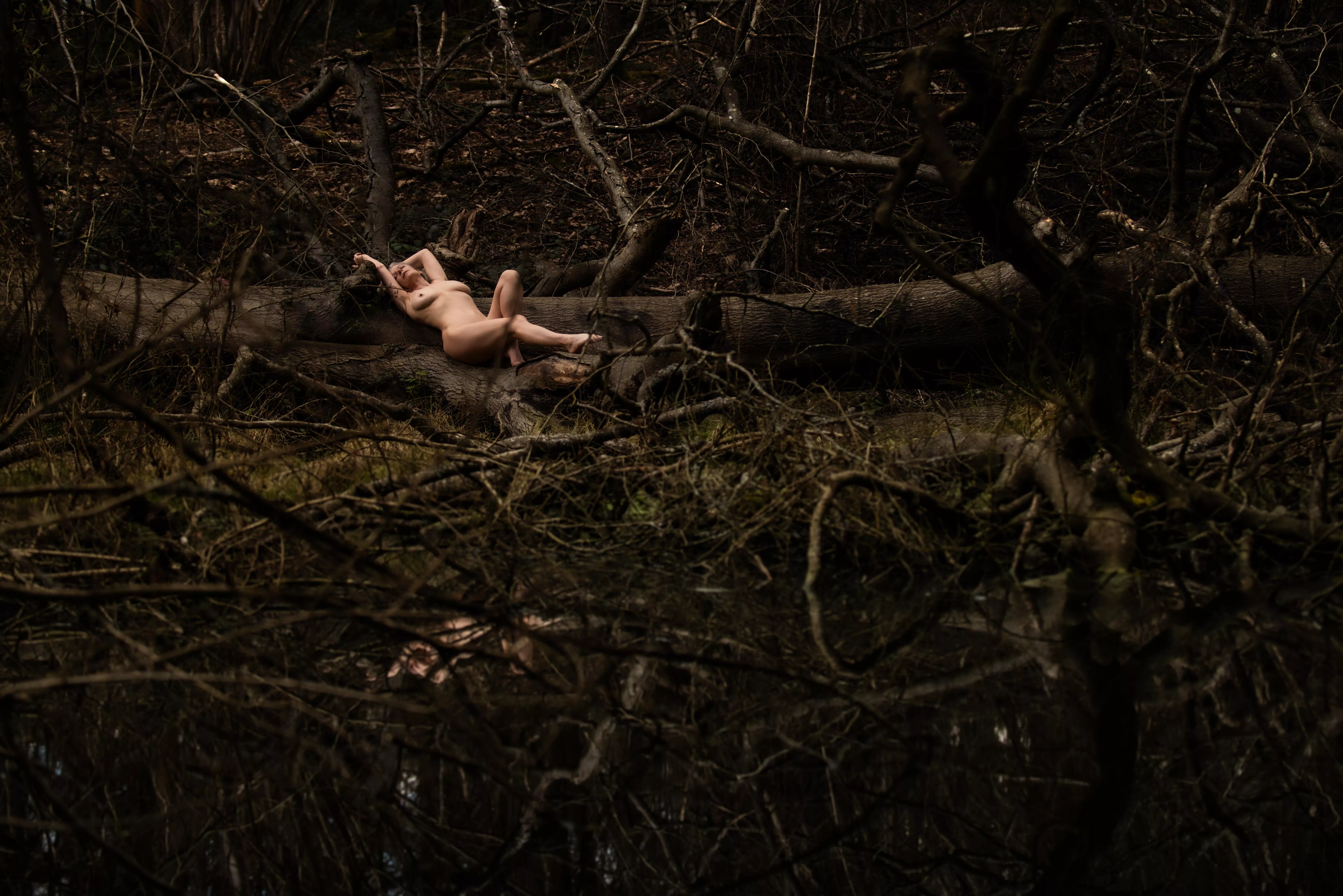 Beauty amongst the decay