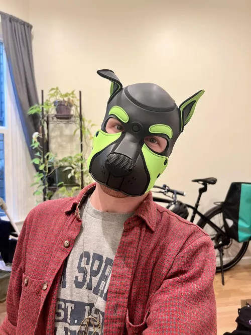 Bought my first hood