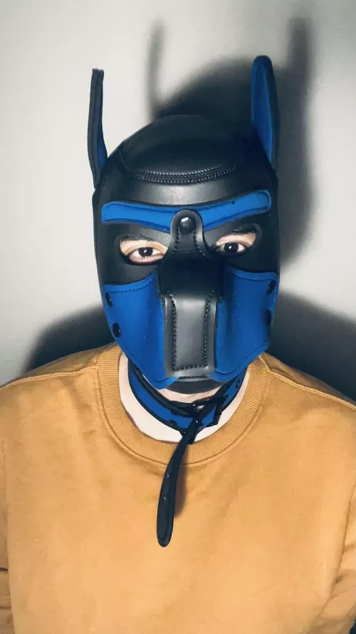 my 1st time wearing one 😅 , how does it look ? 