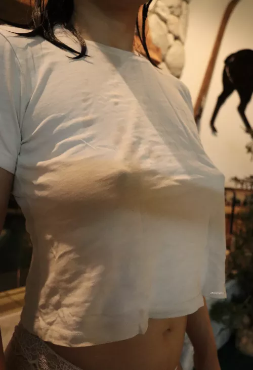 My snow-covered hills