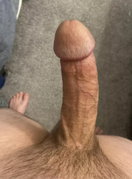 Should I grow out the bush?