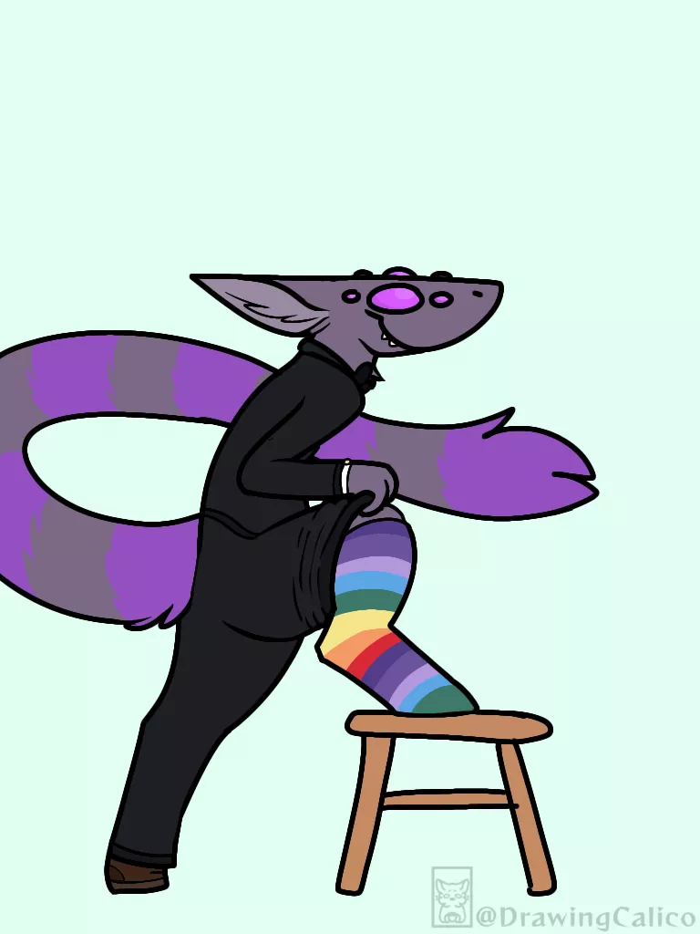 This is the dumbest thing I've done