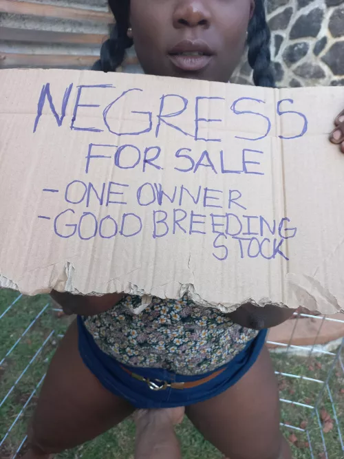 Would you buy me at auction?