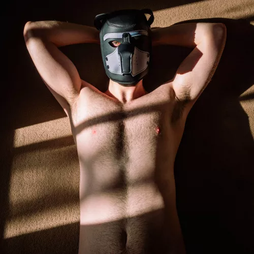 Do I look like a good boy?