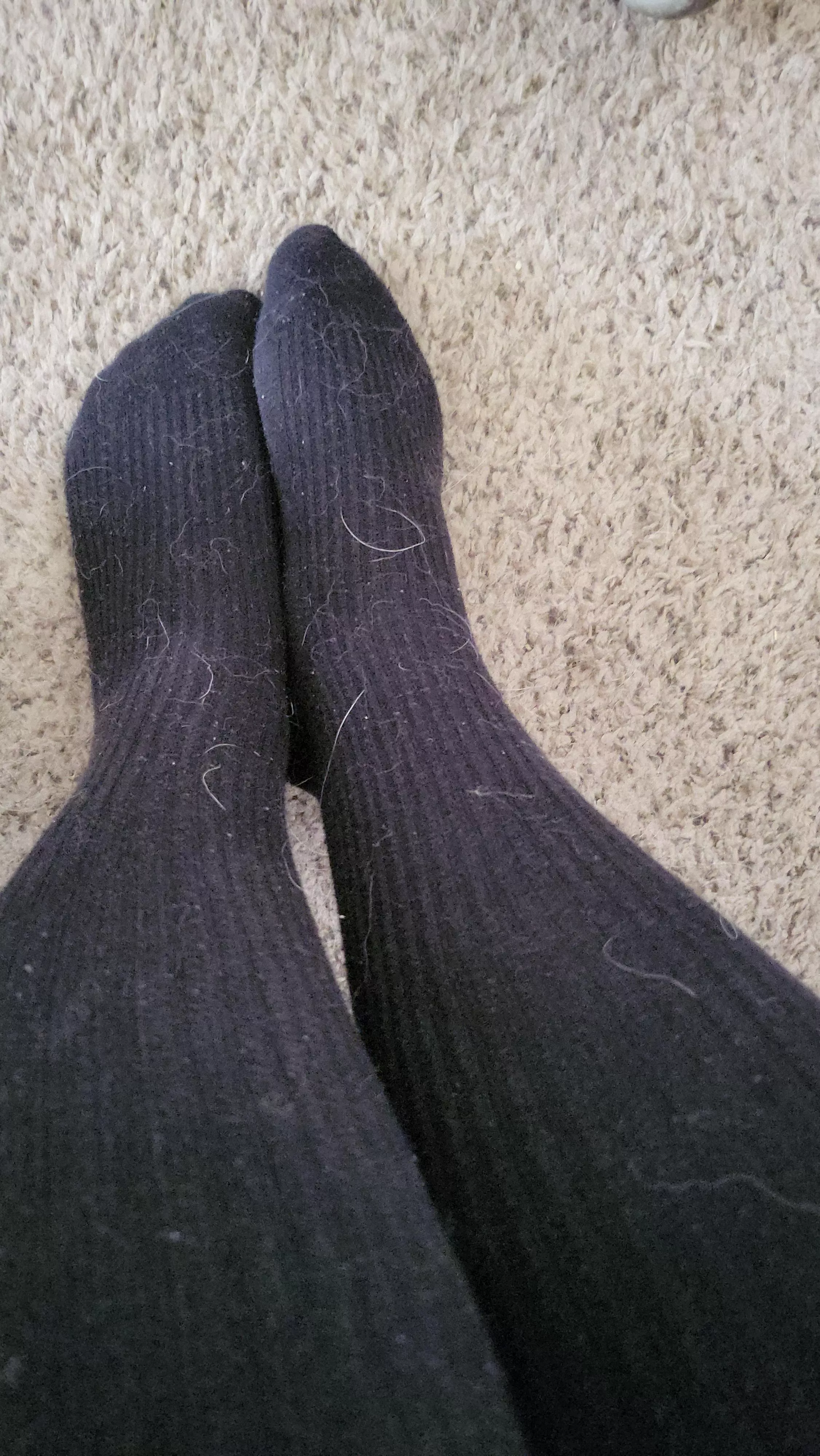 Furry, dirty socks