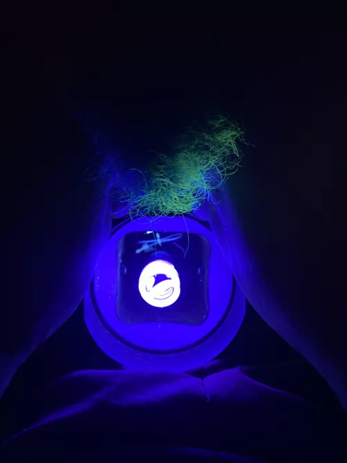 How to make a CAMELGLOW! Xoxo