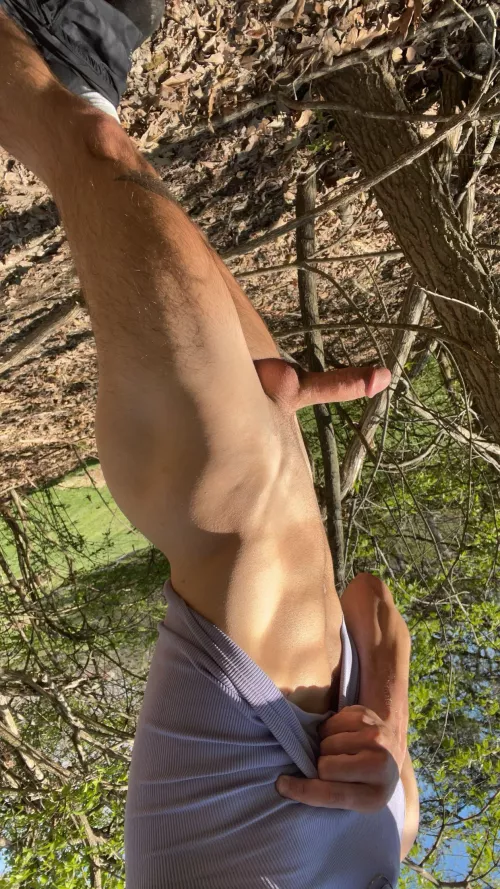 little stroll in the woods