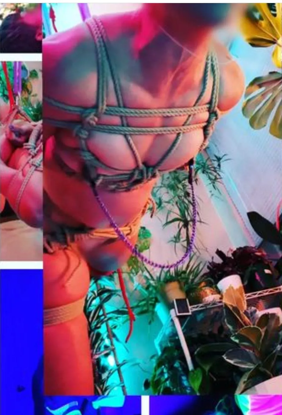 Love flying and love how colorful this little compilation is 🥰