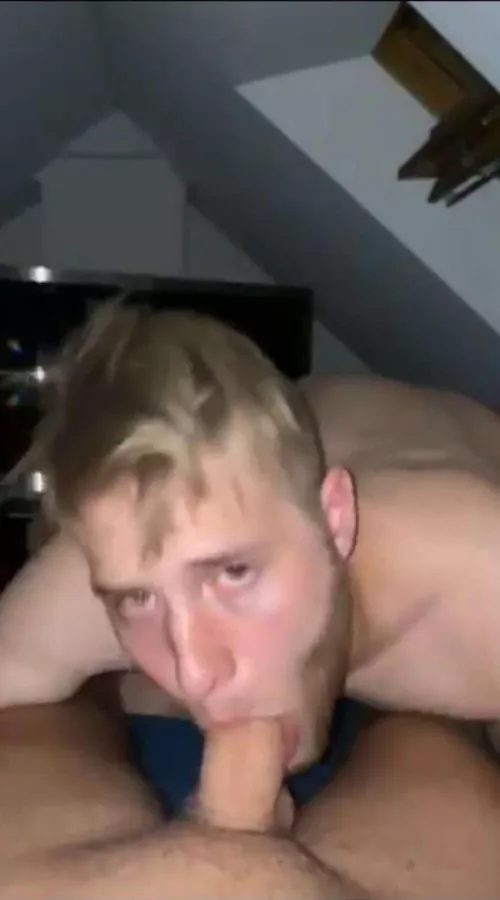 Take a look at this cute little cocksucker.