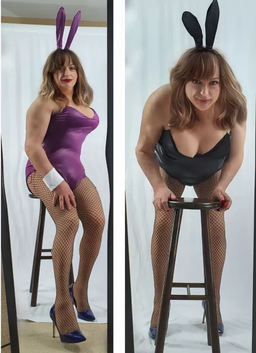 Two bunnys for Easter, black or purple 