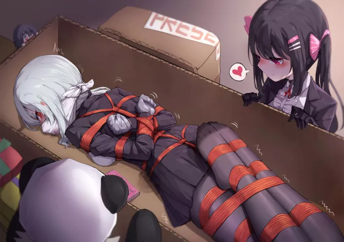 A lovely package that I'd be welcome to~