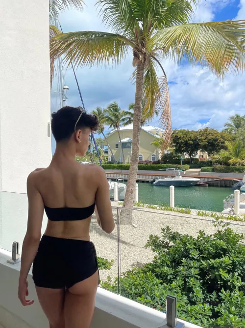 what would we do all alone on an island together?