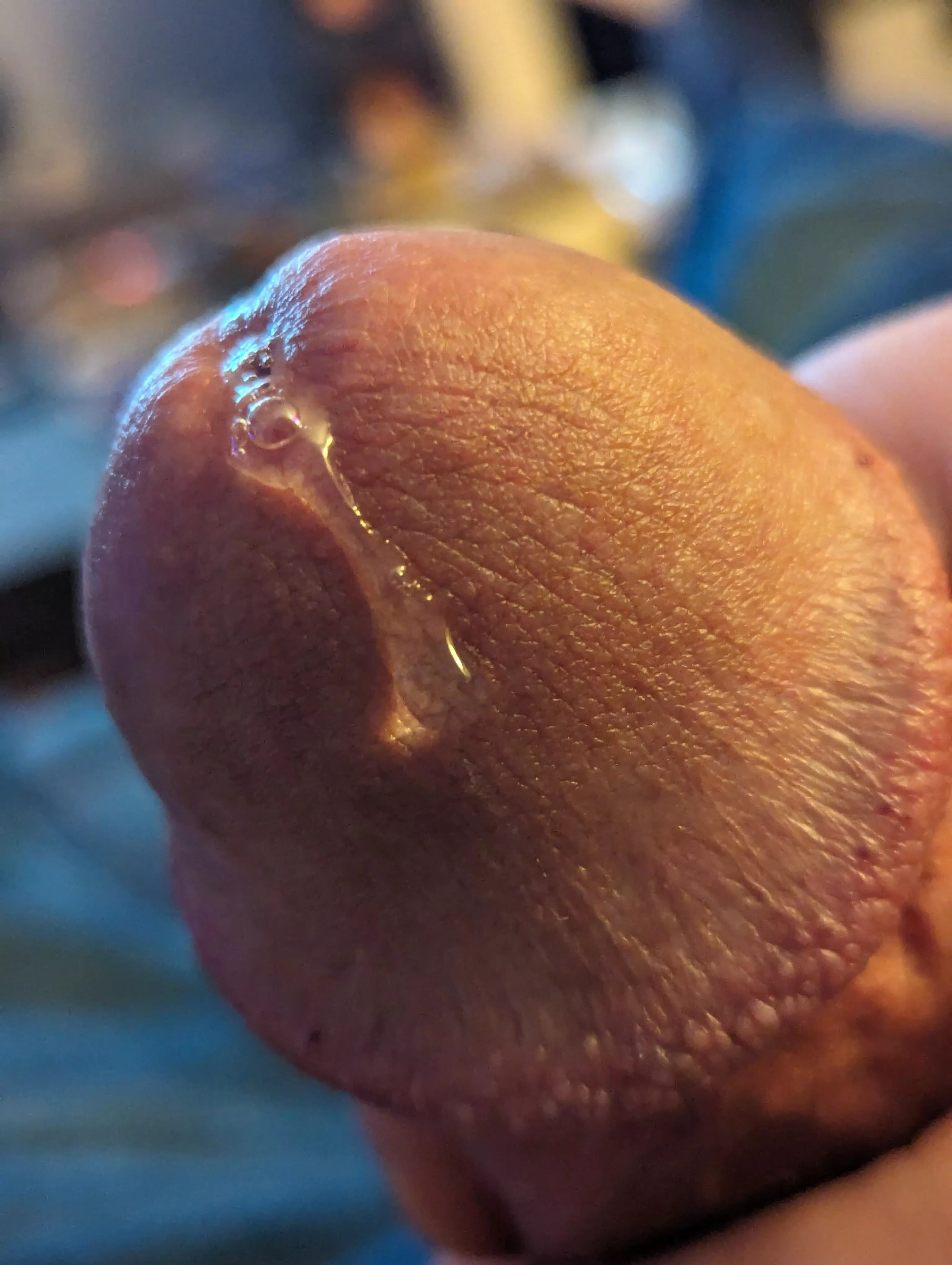 A taste of things to cum. 