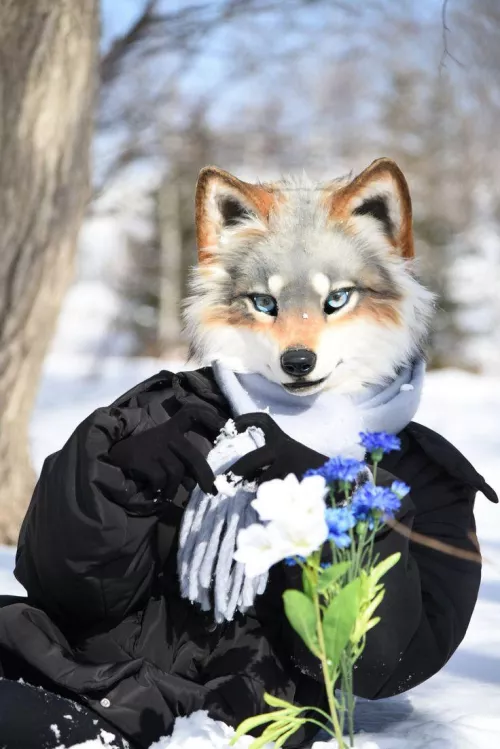 Can someone Tell Me, who is Making them?