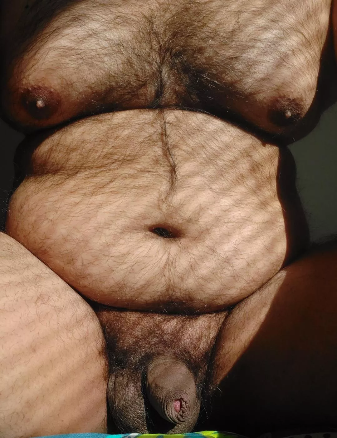 Chubby Brown Bear..Looking for someone to breastfeed from my tits