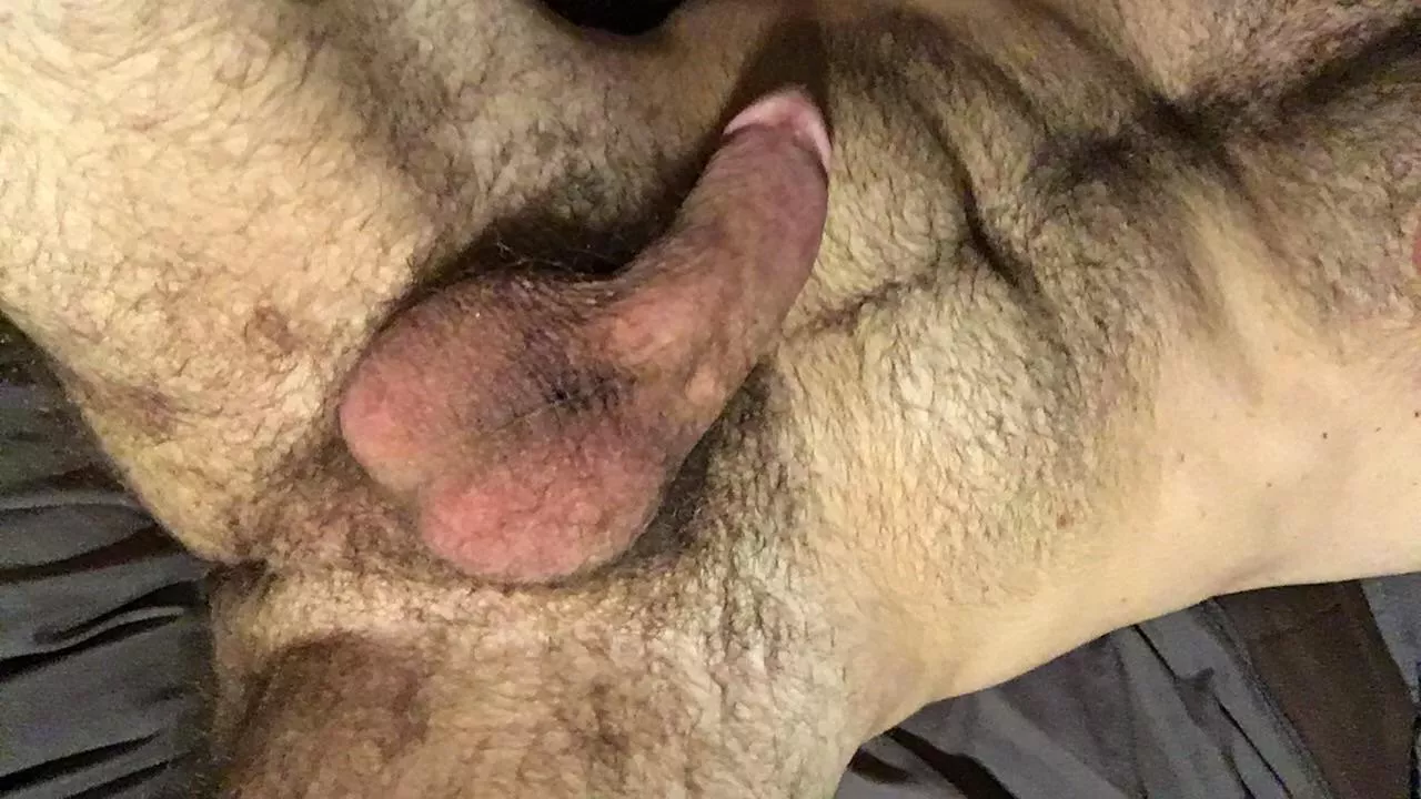 Hairy ass… and then some