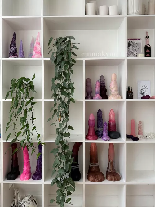 pleasure collection 💖