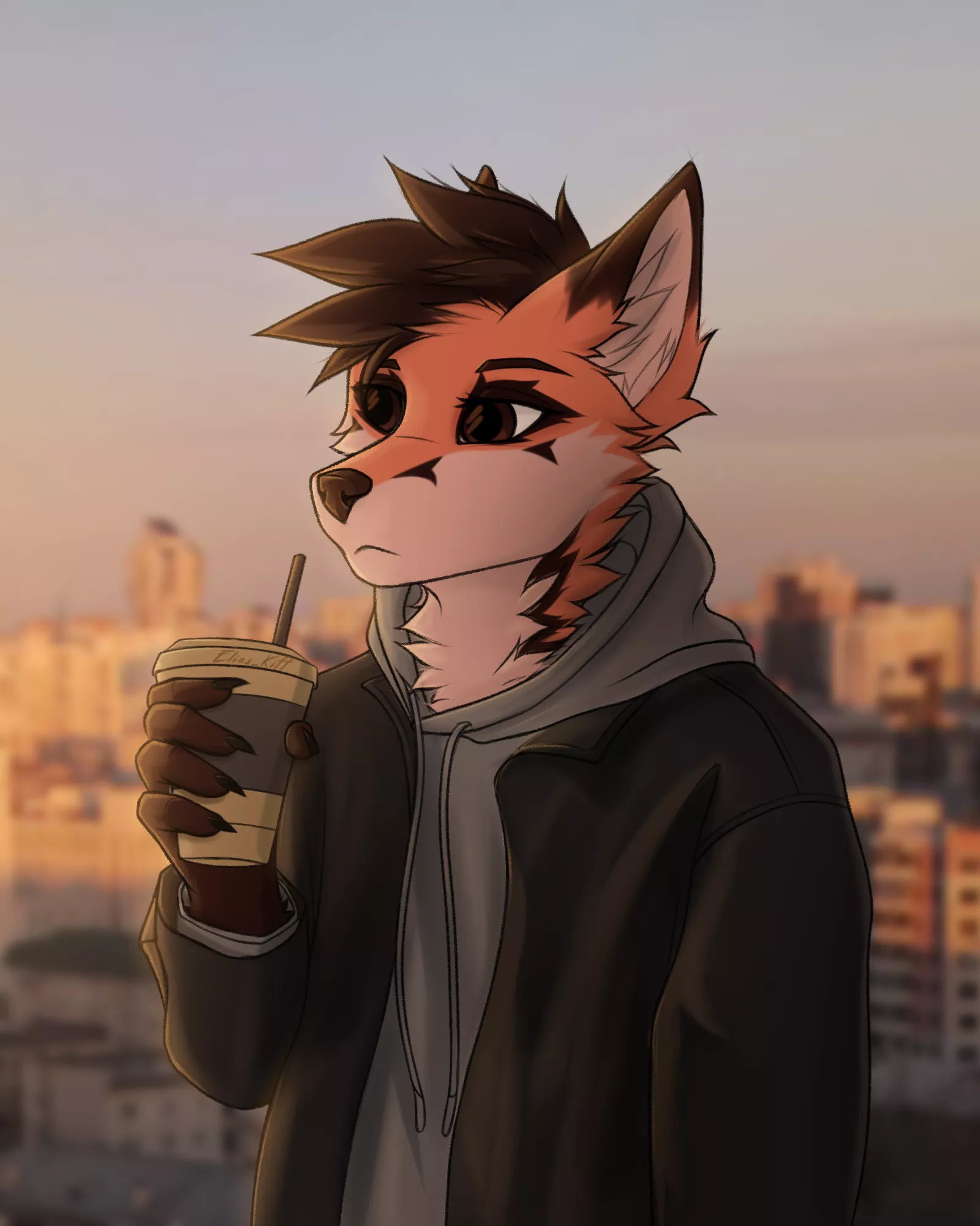 Sunset city (Elias_Kiff)