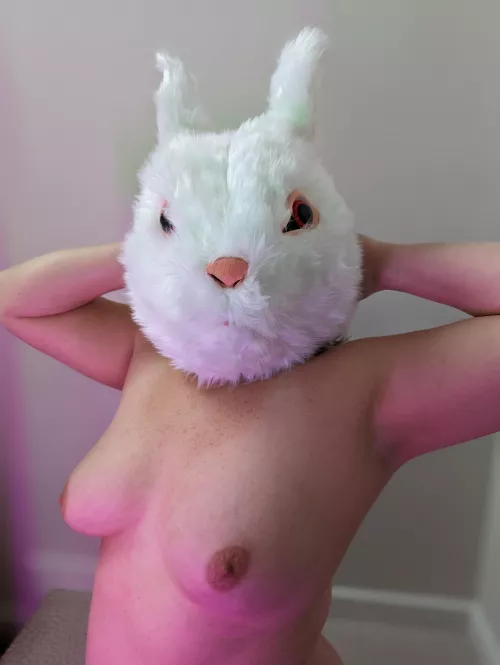 The best Easter Bunny a husband can ask for! 