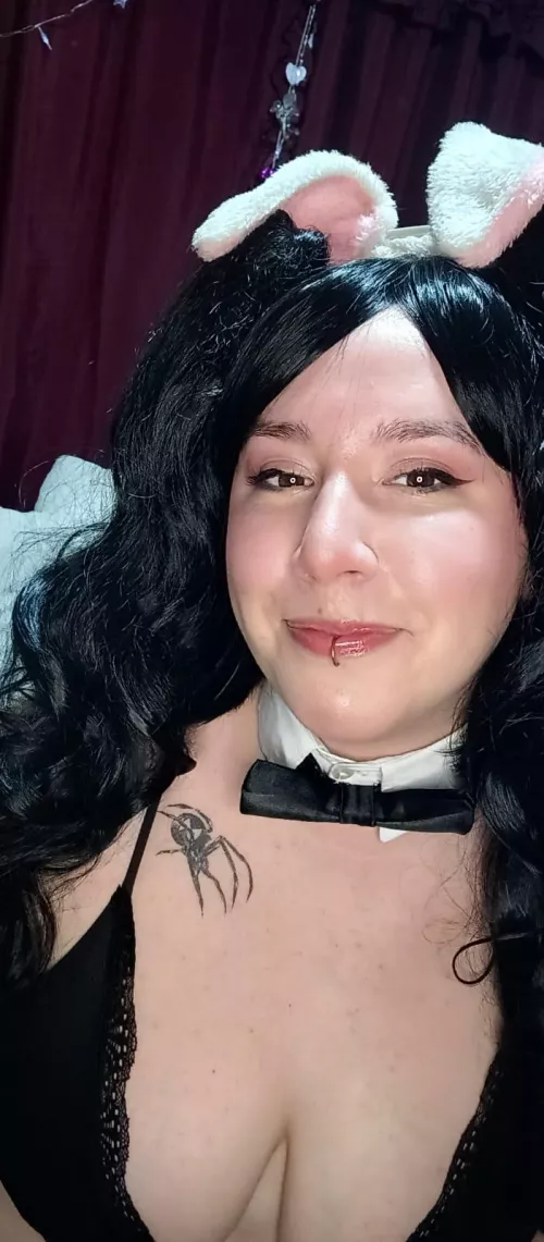 this bunny is looking for someone to adopt her