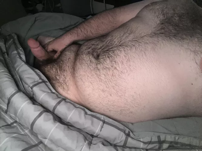 21 college bear needing some real bears to teach and train me 