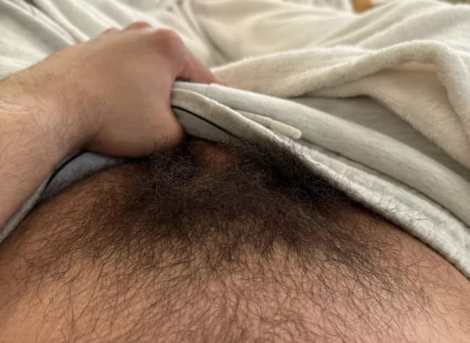 Bush not hairy enough?