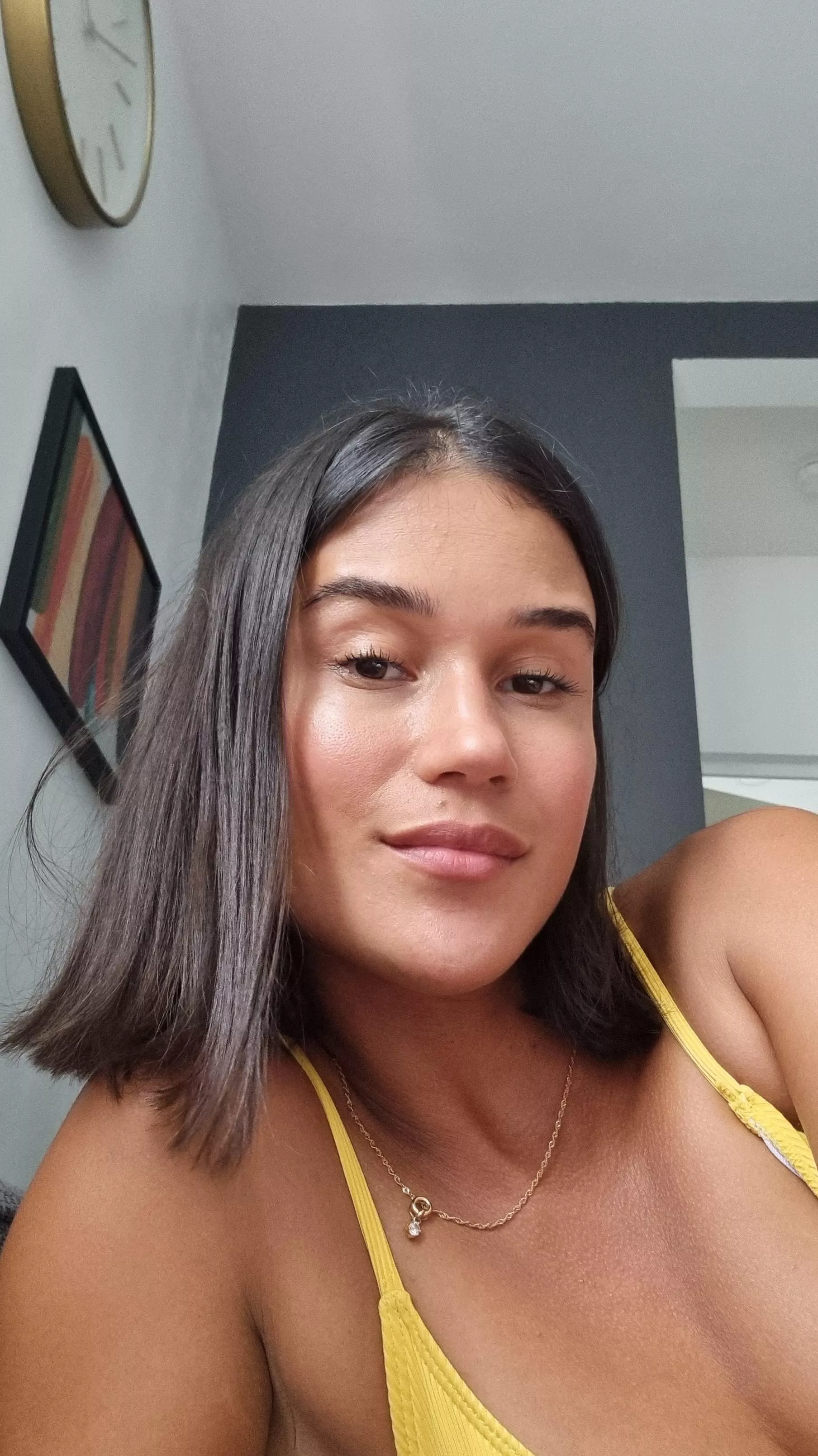 Colombian x Frenchie 