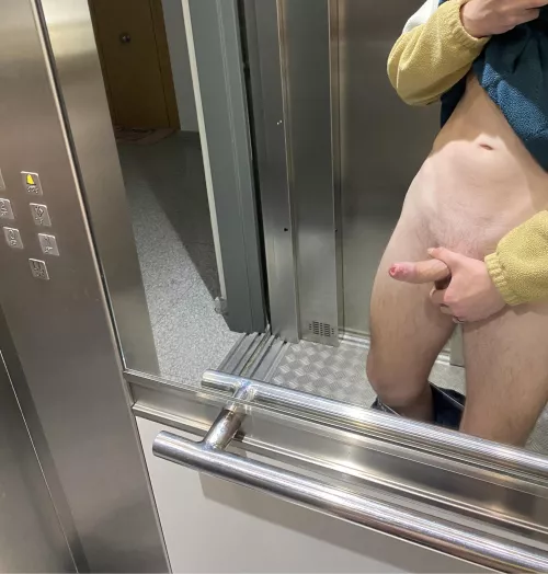 Do you wanna play elevator roulette with me?