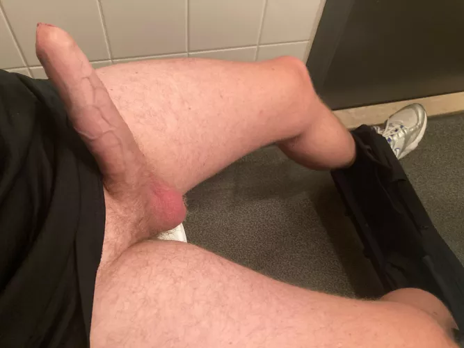 Gaybear junior here - my Swedish hairy cock!