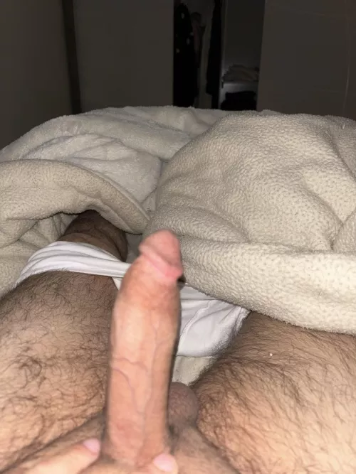 My cock Always erect I don't know why?