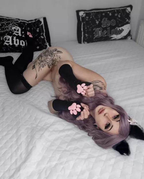 The kitty need headpats 🖤✨