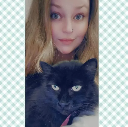 🐈‍⬛🐈‍⬛🐈‍⬛