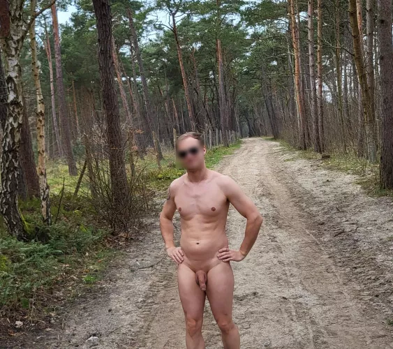 A walk in the forest