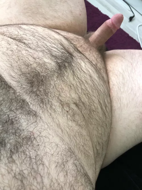 Am i bear enough? If so feel free to dm