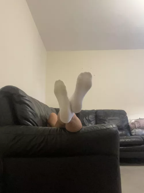 Beg me to sniff them